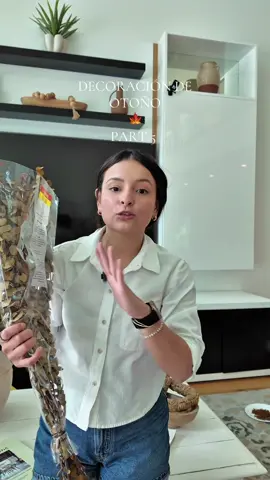 #hobbylobby #nicaenusa🇳🇮🇺🇸 #decoraciondeotoño #latinacontentcreator #nicaraguenseenusa 