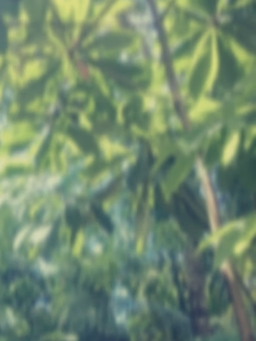 #fyp #paratiiiiiiiiiiiiiiiiiiiiiiiiiiiiiii 