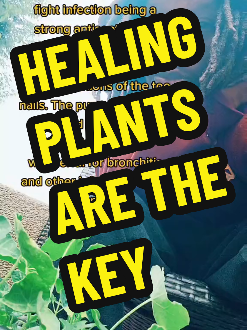 #healing #herbs #plants #gardening #rootwork 