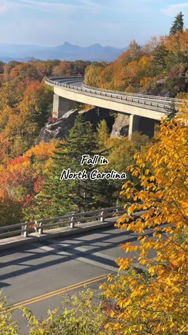 Is there anything better?  #fallfoliage #blueridgeparkway #northcarolina #fall #travel 
