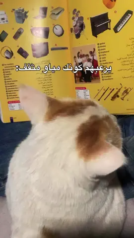 بندق بحب العلم والتعليم