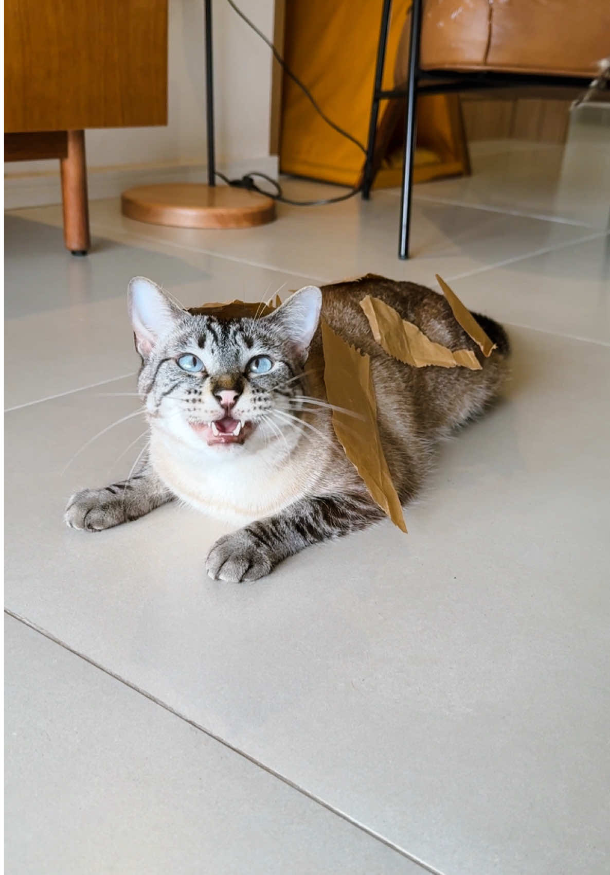 Agora o picolino foi longe demais ✋🏻🚫  Se você tem um caramelo (de verdade 👍🏻), mande a foto dele para @Chevrolet Brasil e aguarde até o dia 08/10 pra ver o resultado do tom de caramelo mais BR de todos. essa cor vai dar origem à versão exclusiva do Chevrolet Tracker Caramelo! e já marque na agenda: dia 08 estreia também ‘Caramelo’, só na Netflix. 💙🤎 @Netflix Brasil #publicidade 