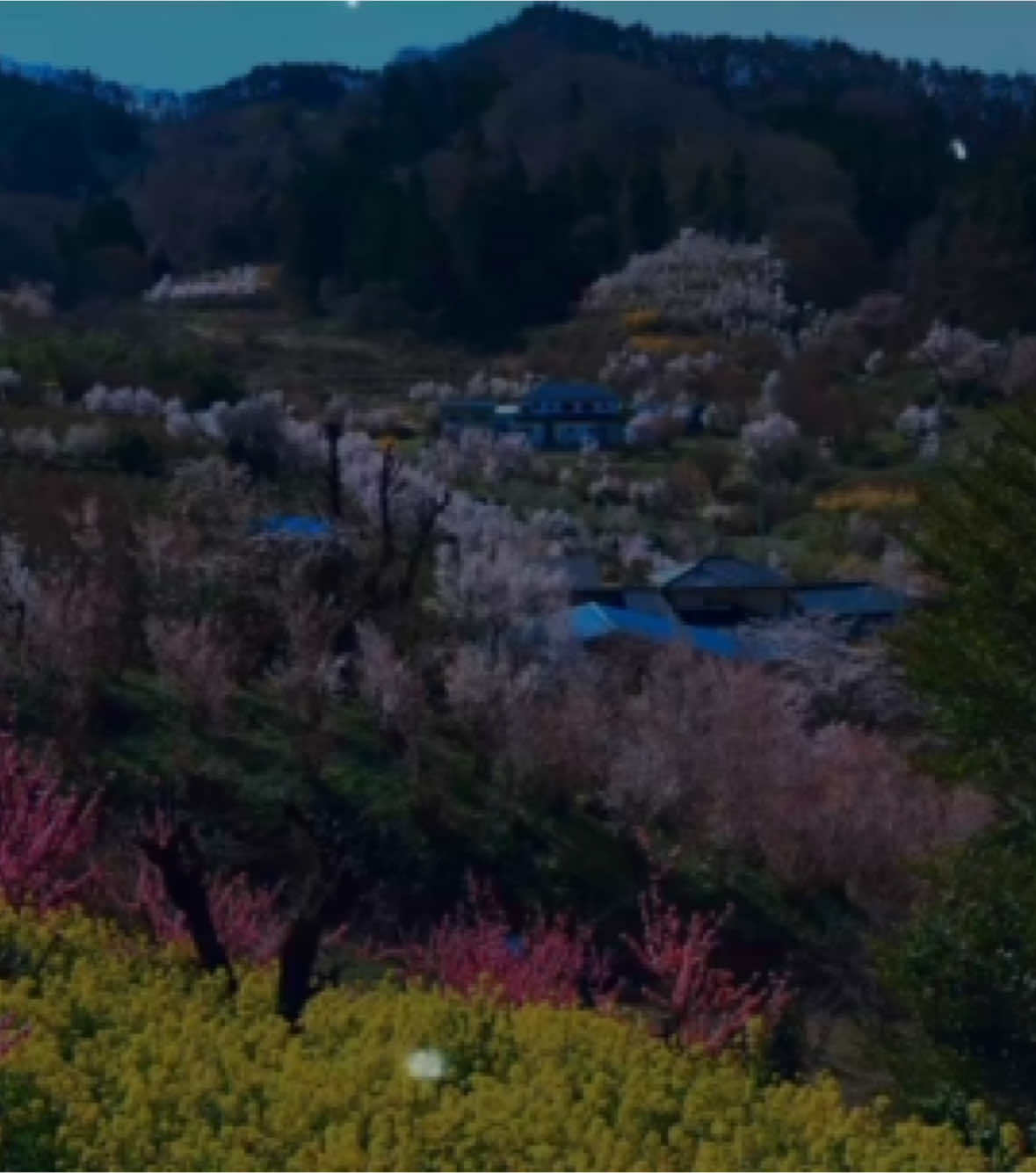 rather be, clean bandit (2014) | #songlyrics #slowedsongs #throwbacksongs #slowedandreverb #nostalgia #lyricsvideo #emptyarena #cleanbandit #bestsongs #feelinggood #tophits #2014tumblr #music #song #aesthetic #japan #kyoto 