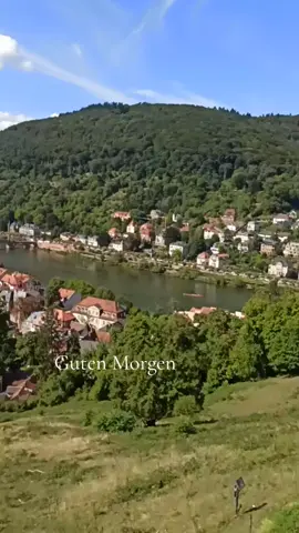 ##creatorsearchinsights 