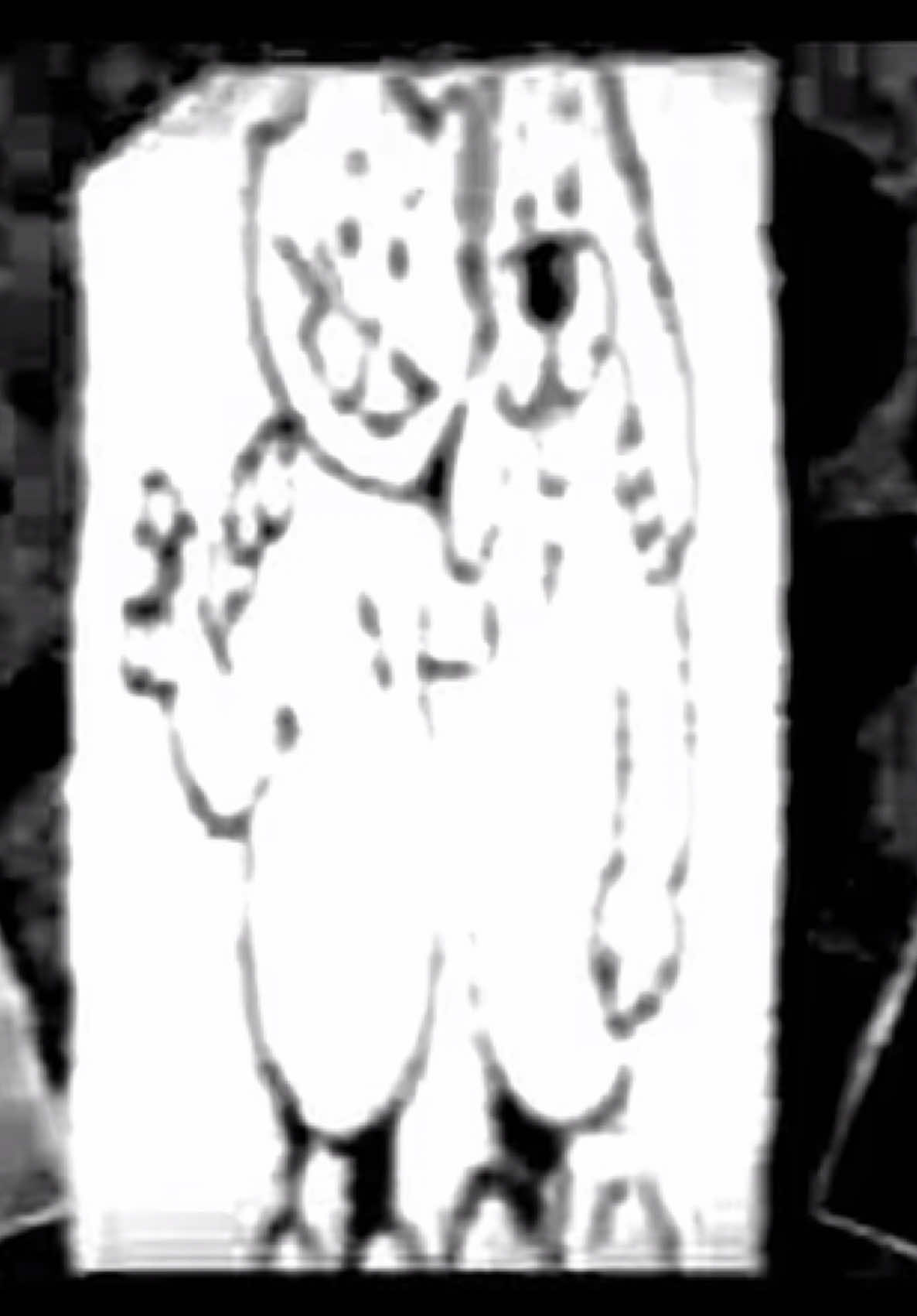 #thirdfelonypilled#smile