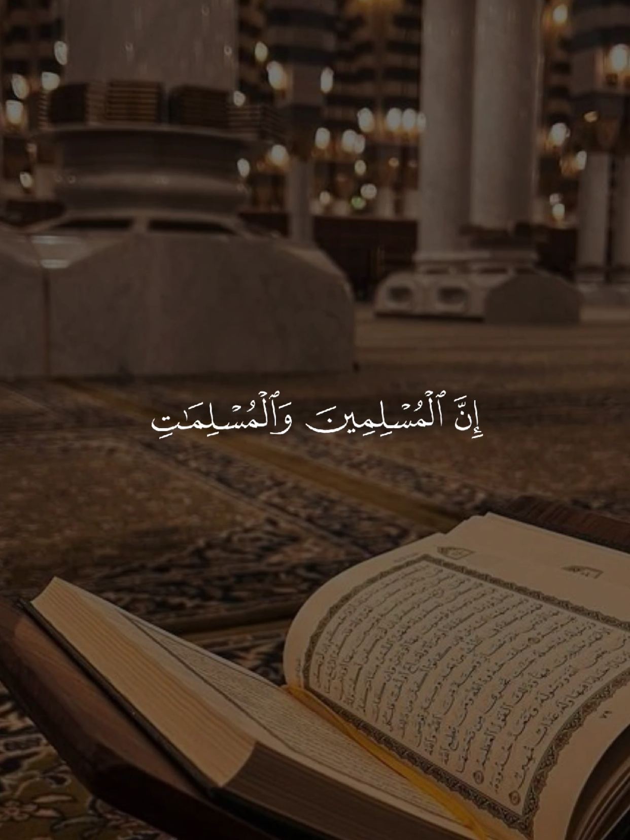 #قران #quran #قران_كريم #quran_alkarim #القران_الكريم 