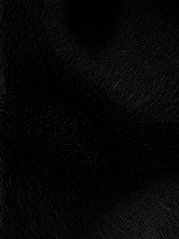 #sitio #edit #tiktok #pedrinho #sitiodopicapauamarelo 