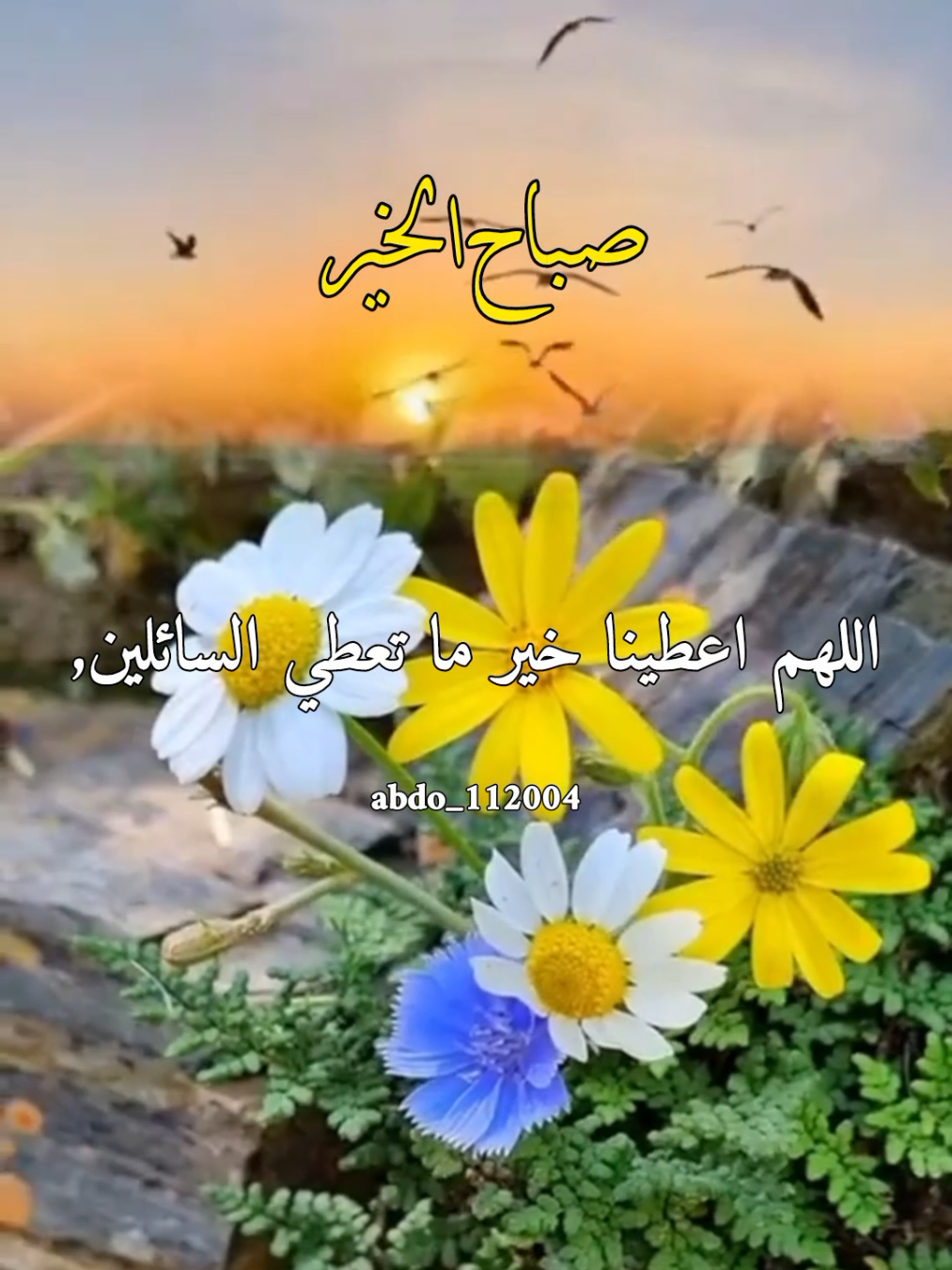 #صباح_الخير #abdo_112004  اللهم اعطينا خير ما تعطي السائلين,#اللهم_لك_الحمد_ولك_الشكر #اللهم_صلي_على_نبينا_محمد #اللهم_امين_يارب_العالمين 