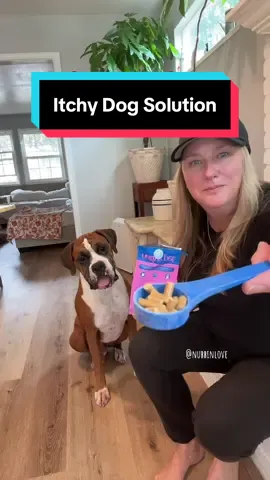 Native Pet Gut Well is the ultimate supplement for dogs with itchy skin, allergies, and sensitive stomachs. #dogallergies #dogtips #dogsupplements #itchydog #doghealth @Native Pet 