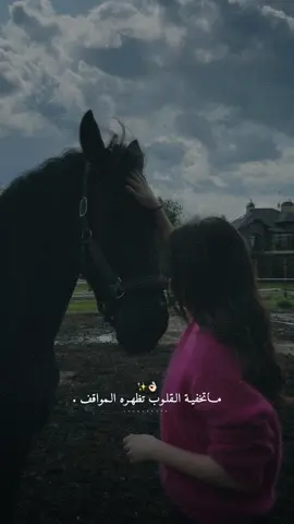 اتفق إلى مستوى كبير الإنسان وقت الموقف يبين معدنة.👌🏻✨🤍#راشديةمطنوخة #خيل_وخياله🐎 #capcut #foryou #viralvide 