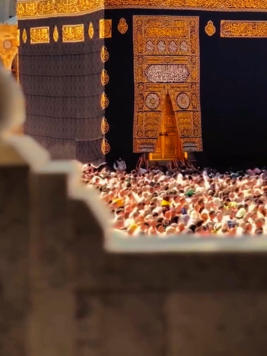 Assalamualaika Ya🥰🫀🌸🎧 . .  #nasheed #darkedit #aestheticvideos #islamiccontent #islamicstatus 