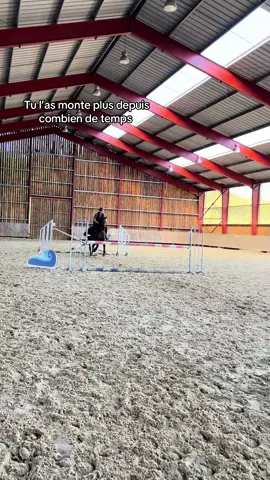 Mon plus gros chagrin #pourtoii #equitation #cavalier #fyp 