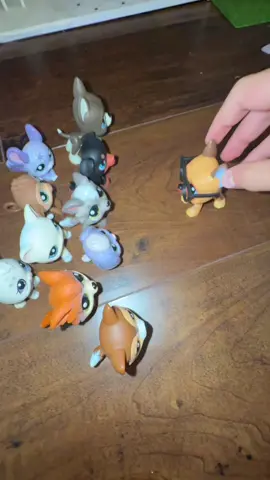 Femboys 🤤 #femboy #lps #littlestpetshop #fyp #viral 