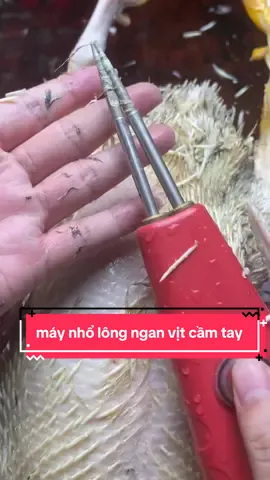 máy nhổ lông ngan vịt cầm tay tiện dung#xuhuong #maynholongmangvit #maynholongvitcamtay #maynholongvit #maynholong 