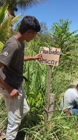 Uma coisa leva a outra #comedia #humor #interior 