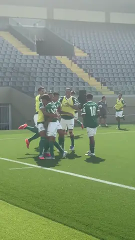 Os gols da classificação das #CriasDaAcademia para a semifinal do Campeonato Brasileiro Sub-17 estão no ar! ⚽💚 #Palmeiras #TikTokEsportes 