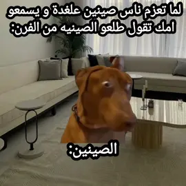 لو جونا صينين😂#😂😂😂 #creatorsearchinsights #شعب_الصيني_ماله_حل😂 #How #السودان 