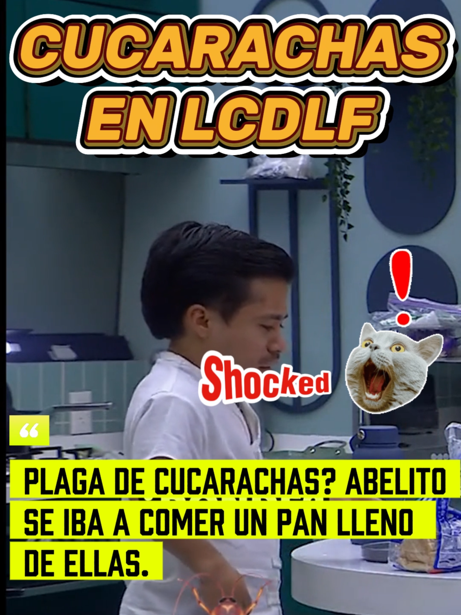 Plaga de cucarachas en LA CASA DE LOS FAMOSOS, no se encontró solo una fueron muchas que estaban en el pan que se iba a comer. Ni para fumigar les alcanzó; gracia deben tener para controlar las plagas en vez de andar saboteando el concurso #santochismelatam #santochisme #lcdlfmexico