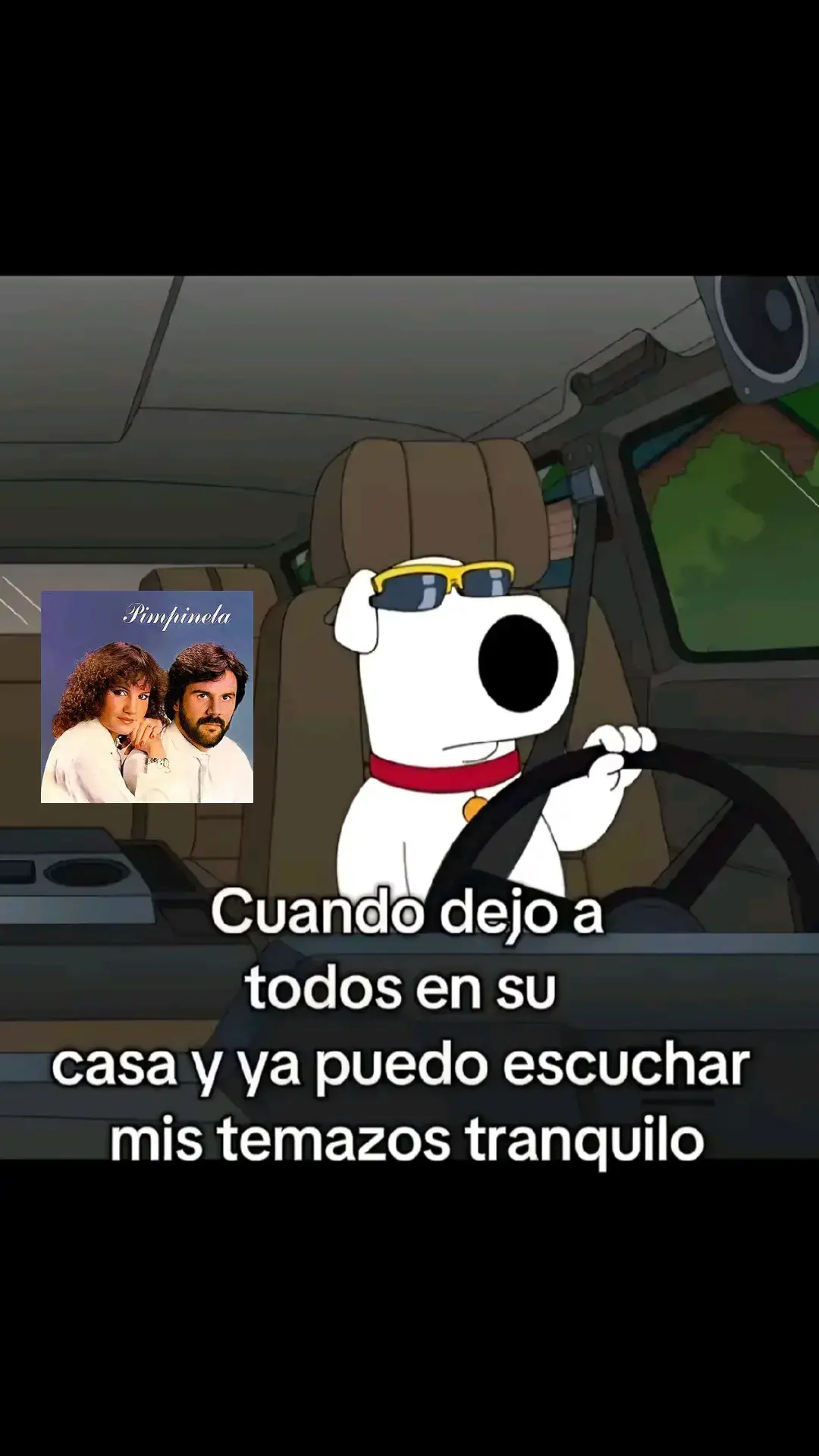 #pimpinela  #olvidameypegalavuelta  #viejitasperobonitas  #musicadelrecuerdo  #clasicosporsiempre 