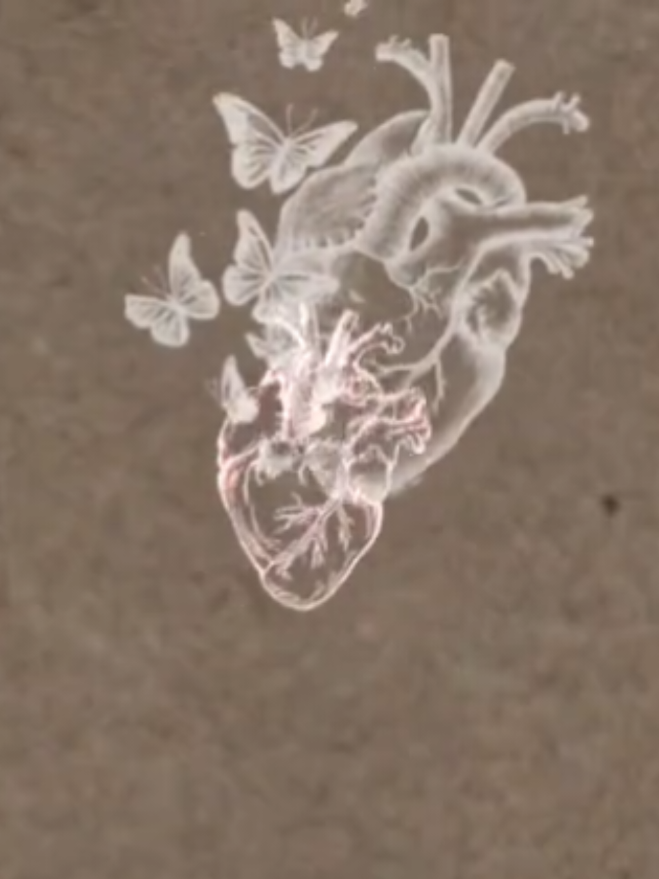 سكنتم فؤادي وربّ العباد❤️‍🩹 #fyp #احمد_النفيس #بدون_موسيقى☕🖤 #أناشيد_أسلامية #foryou 