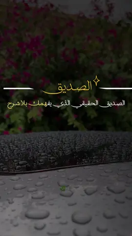 الصديق الحقيقي الذي يفهمك بلا شرح ويعذرك بلا لوم ويذكرك بلا مناسبة وهو من يمشي تجاهك  عندما يمشي الجميع بعيداً عنك.