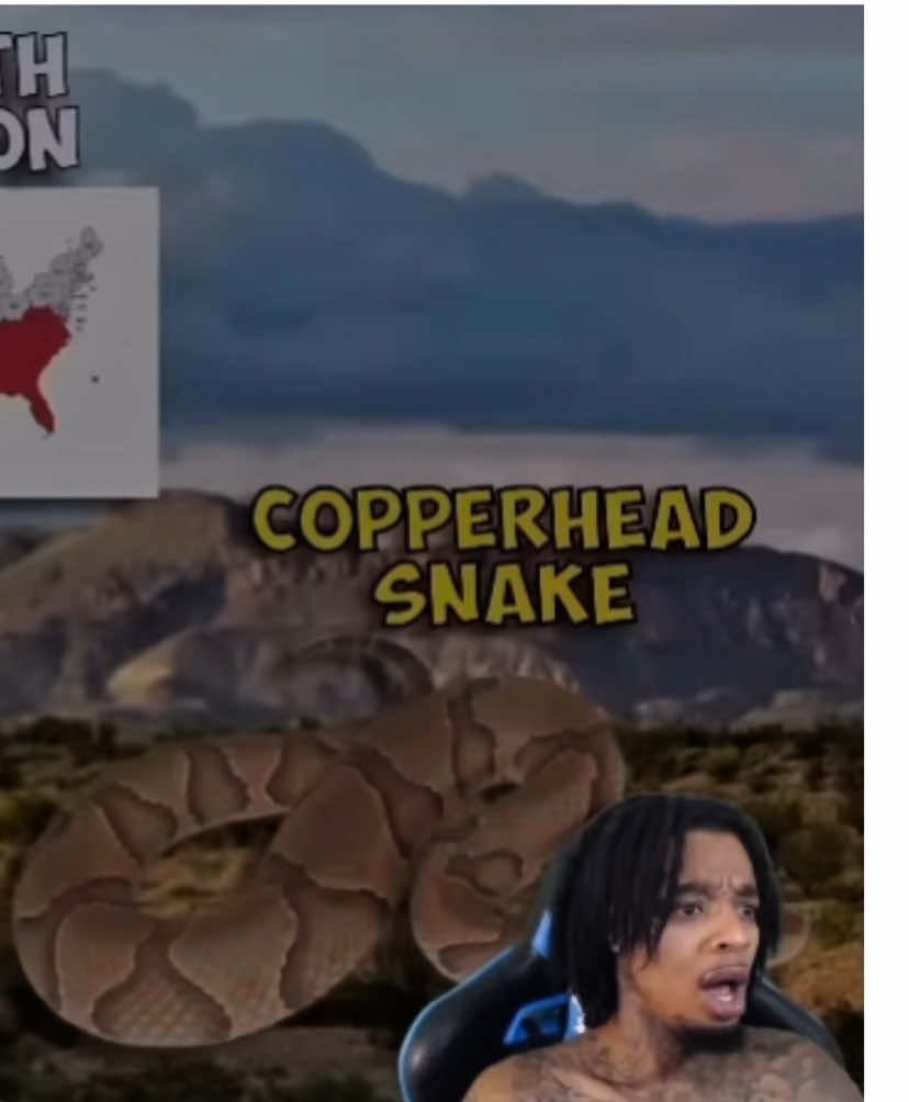 Watchu mean a feral hog 😭💔 #flightreacts #flightreactsmemes #funny #clip 