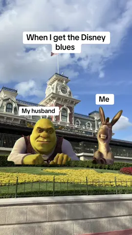 The Disney blues are a real thing  #disney #disneyadults #florida #husband #disneyparks
