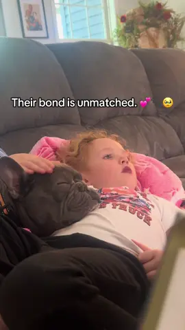 This girl and her dog, Otis. A girl’s best friend. 💕#fyp #agirlandherdog #puppysnuggles #frenchie #agirlsbestfriend 