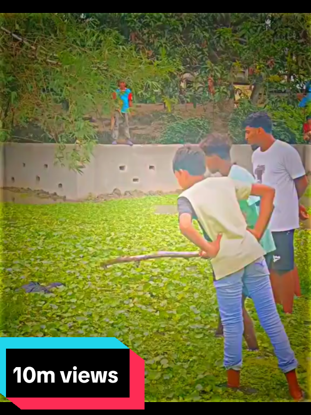 Funny X mood dance activated ✅ #fyp #view #viral #amapiano #mood 