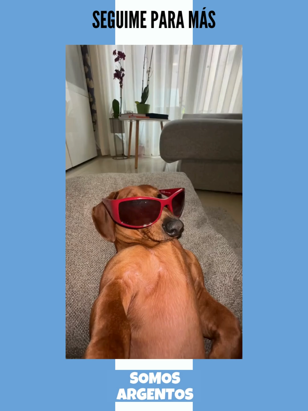 ¡SEGUIME PARA MÁS!