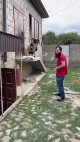 🤣🤣