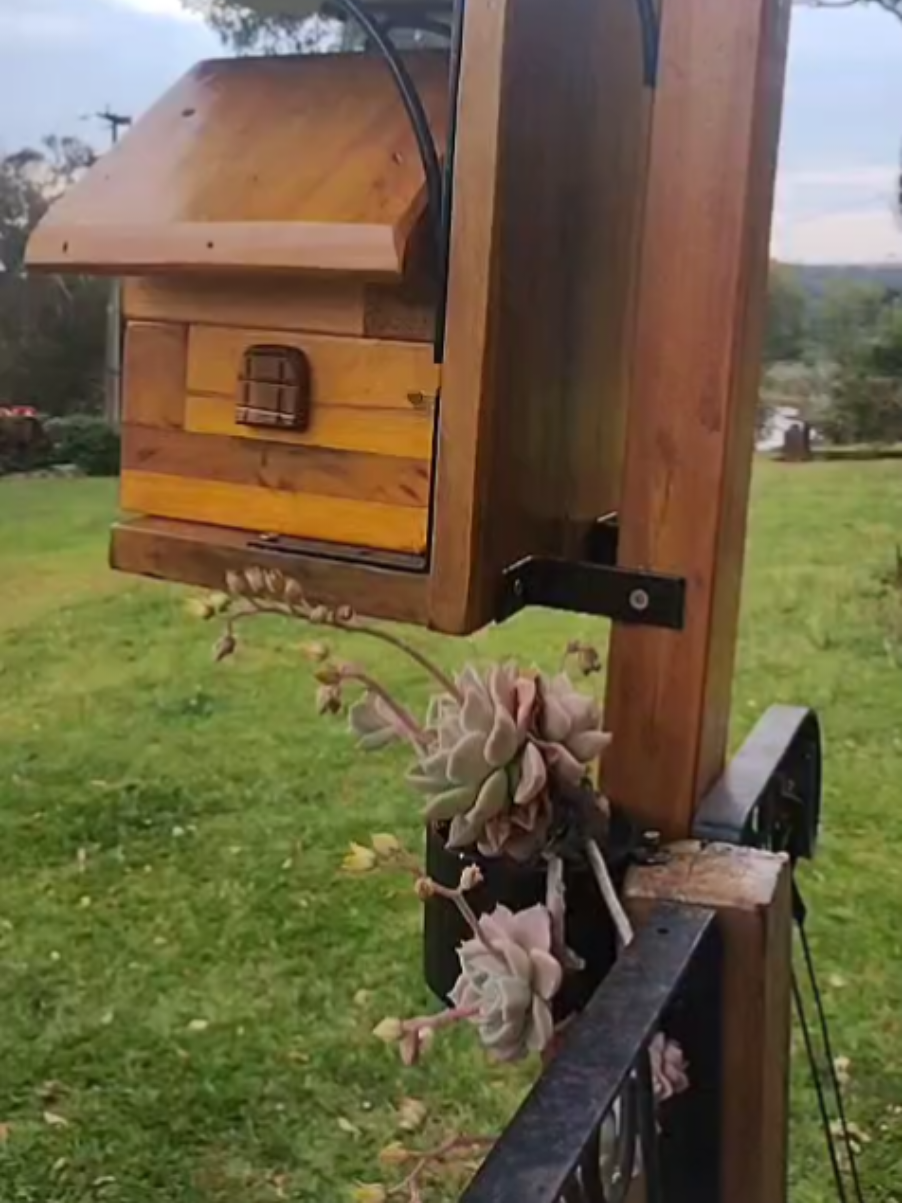 Caixinha para abelha Jataí  #jatai  #meliponicultura  #abelhasemferrao  #mel 