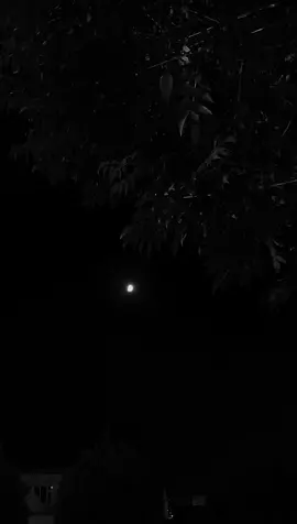 #fyp #foryoupage#iam__rayo  #duhok_zaxo_amedi_semel_akre #likeandcomment 