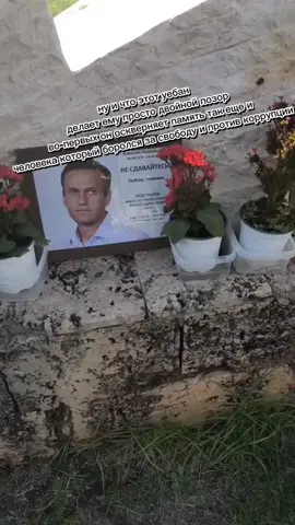 #фембой#навальный2021 #навальный#стулалексеянавального#позор