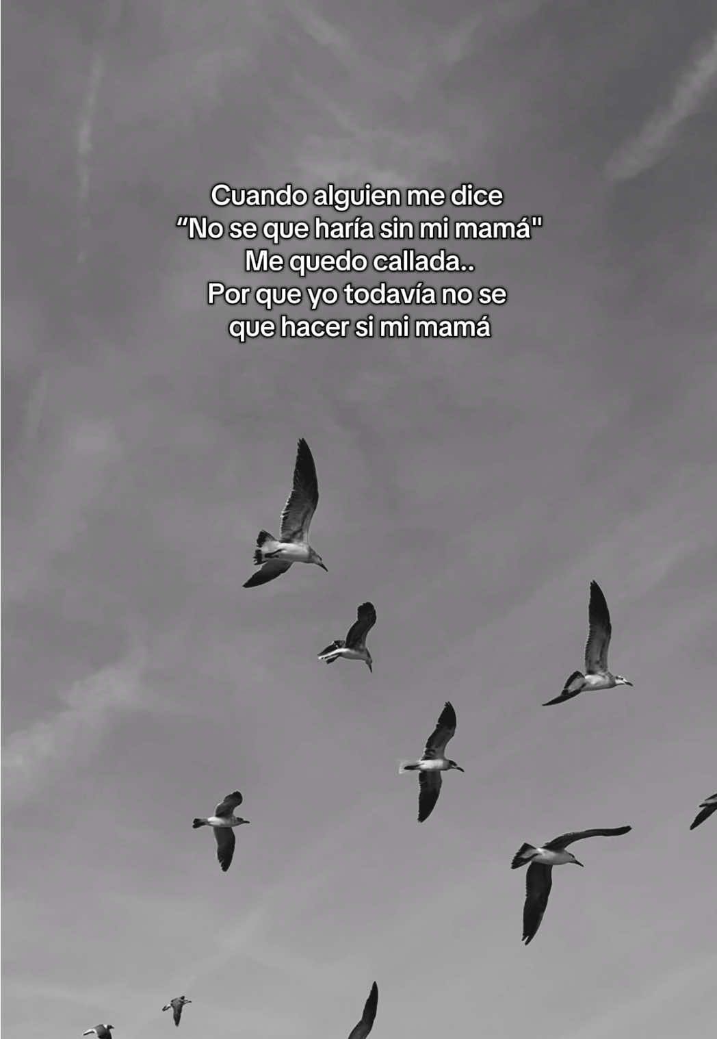 #duelo #teextraño #mami #paratiiiiiiiiiiiiiiiiiiiiiiiiiiiiiii #enelcielo 