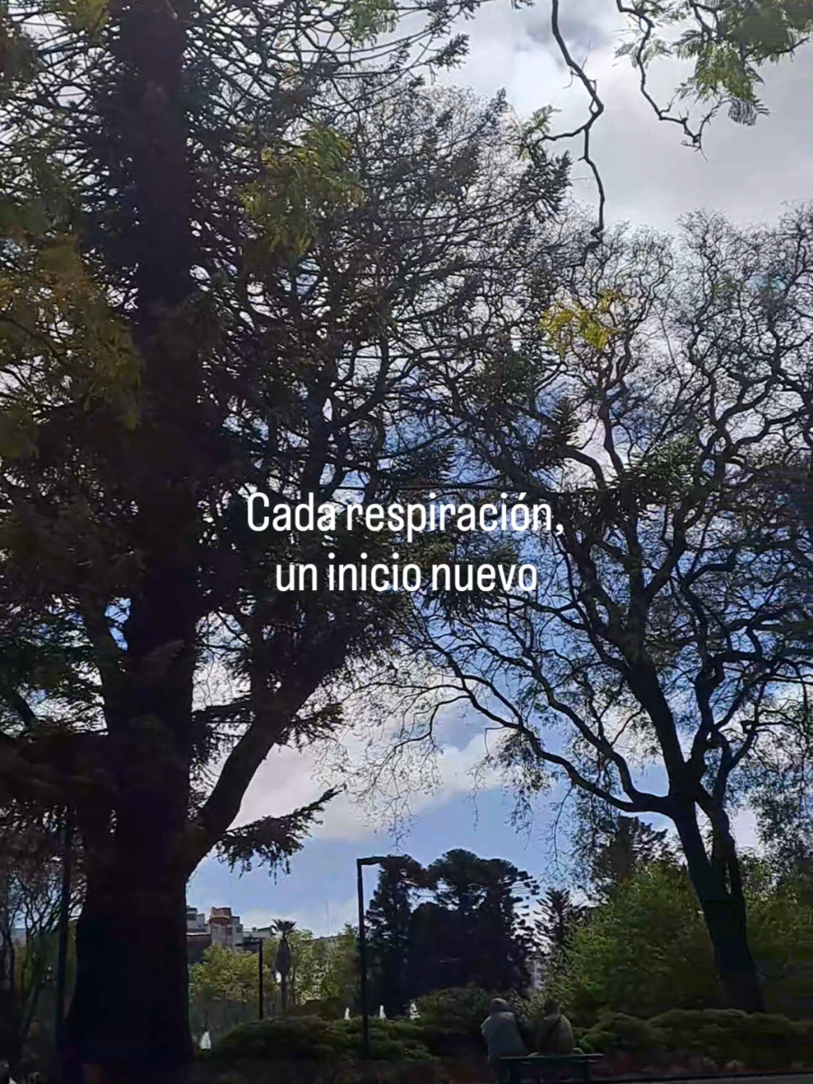 gracias vida, por querer enseñar lo bien que me hace el yoga 🪷✨️ #creatorsearchinsights #clasesyoga #Yoga #yogapractice #movimientoconsciente 