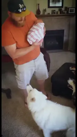 Baby having fun with dog❤️🥰#dog #baby #puppy #bestfriend #cute #Love #dogsoftiktok #lovestory #foryou #usa🇺🇸 