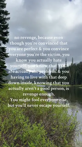 You might fool everyone else, but you’ll never escape yourself. #fyp #narcissist #viralvideo #relatable #foryoupage 