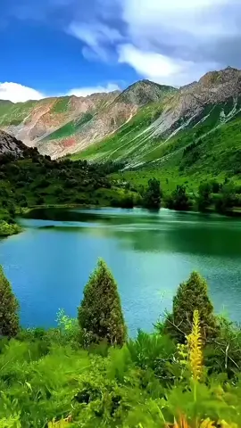 #creatorsearchinsights #fypシ゚ #viraltiktok 