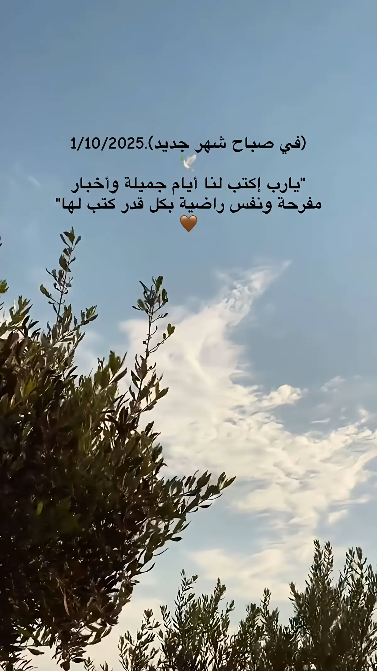#اللهم_امين #یارب_العالمیــــــــــن🤲🏻🥺 