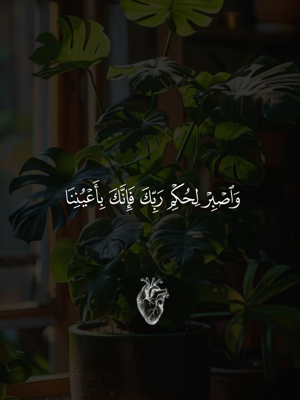 تلاوة خاشعة 🤍 القارئ ماهر المعيقلي من سورة الطور  #القرآن #تلاوة #QuranRecitation #IslamicReminder #fyp