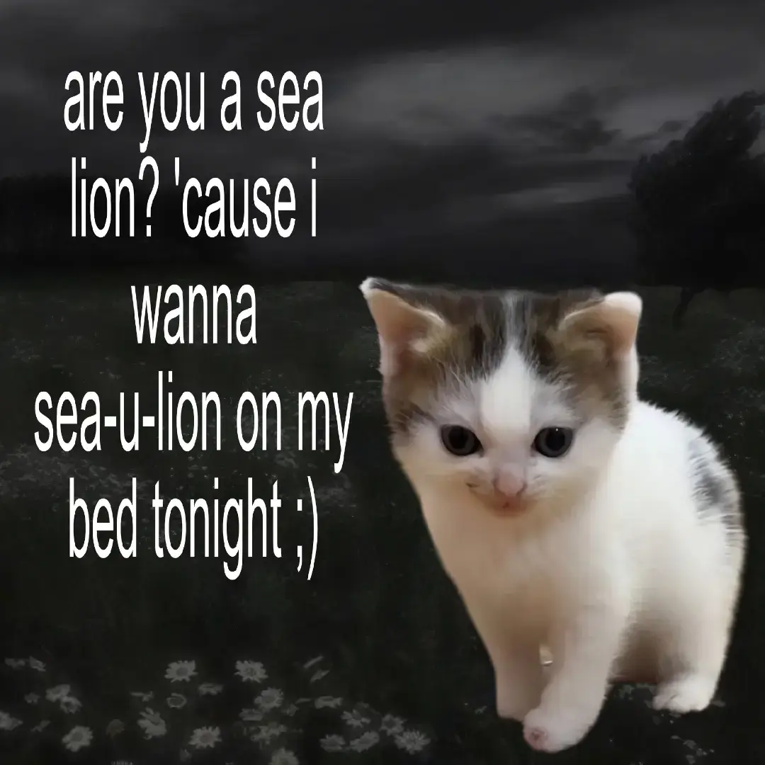 #relatable #relatablecontent #lovecore #streak #slideshow 