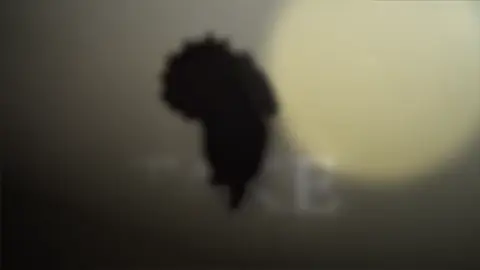 A silent voice - mirrors demo by @overtonight - trying a different resolution and style - inspired by @𝖋𝖊𝖑𝖎𝖝.𝖆𝖊𝖕 