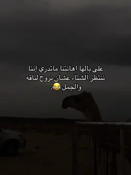 ماتدري ان السعودين كل شتاء في المخيمات والبر والوناسه 😂  #اكسبلور #foryou #fyp #الشعب_الصيني_ماله_حل😂😂 