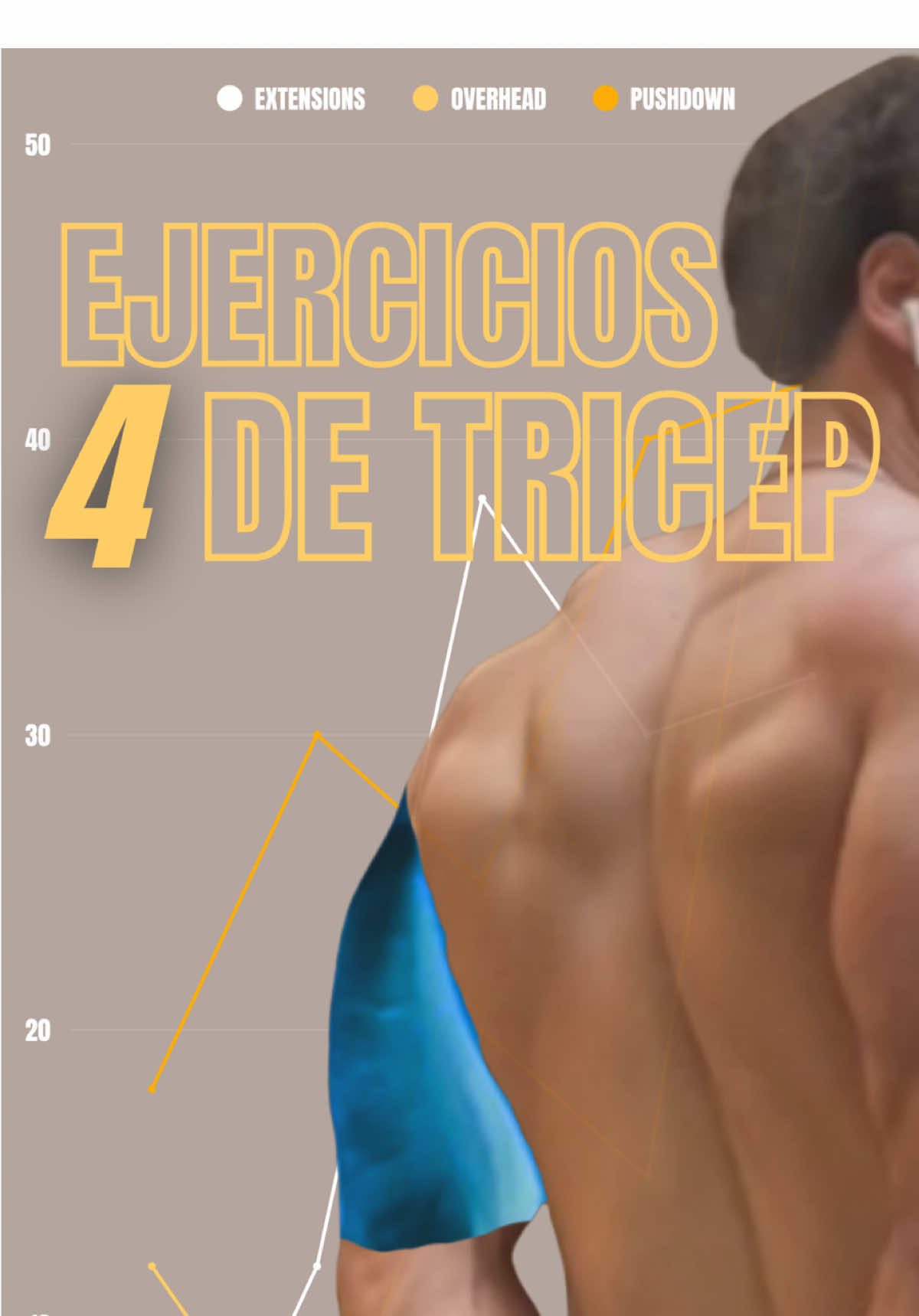 ⬆️📈Quieres Crecer Tus Triceps? Haz Estos Ejercicios y Guarda el Video para Después ✅ • 1️⃣Tricep Kickbacks Sets: 3-4 Reps: 12-20 • 2️⃣DB Overhead Tricep Extension Sets: 3-4 Reps: 8-12 • 3️⃣EZ Bar Overhead Tricep Extensions Sets: 3-4 Reps: 8-12 • 4️⃣Tricep Rope Extensions Sets: 3-4 Reps: 10-15 • #triceps #tricepsworkout #tricepworkout #musclegrowth #armworkout 