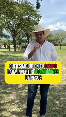 #ganado #inversion #campo #ganaderia #consejos 