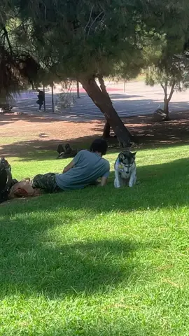 I ended up letting him know xD