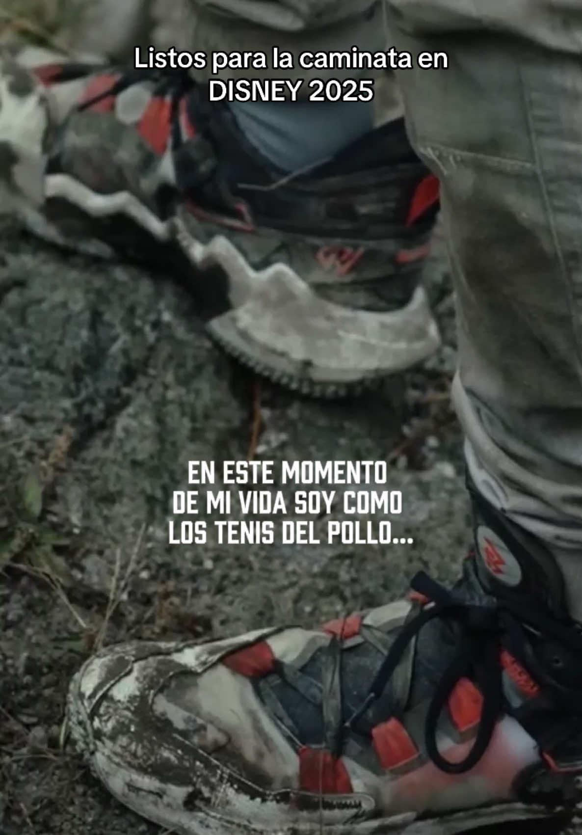 Así van a quedar después de la caminata en Disney #disneyland #disney2025 #tenis #experiencia 