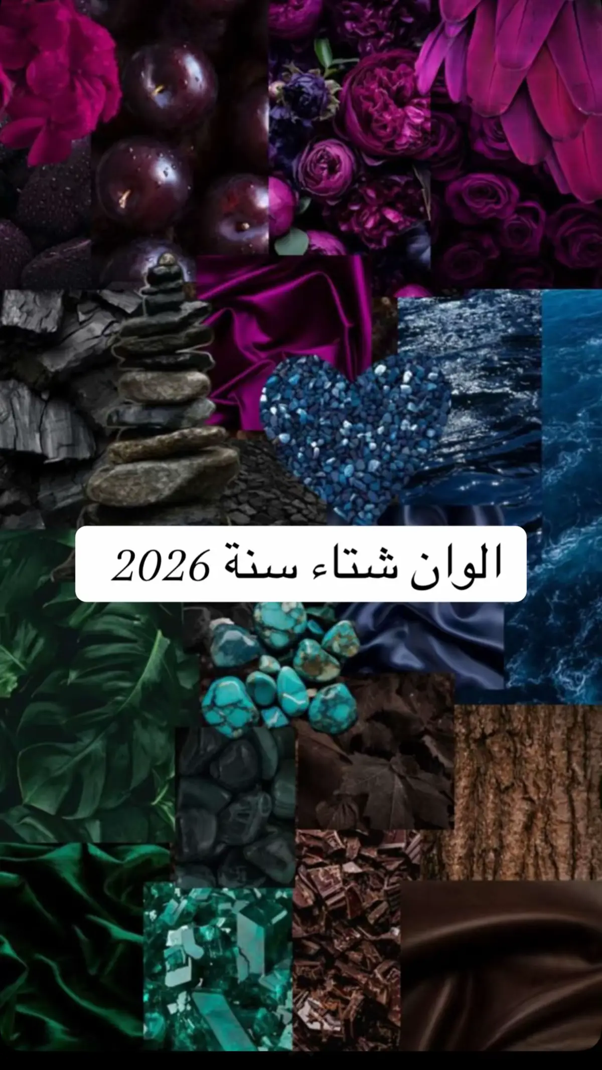 #ترند_الشتاء #الوان_الشتاء #trend #trending #explor 