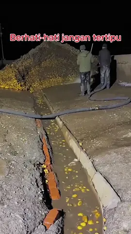 Gelang tangan nasib baru, membawa tuah dan kekayaan, berat 40 gram, boleh disesuaikan saiz, bergaya dan serba boleh, diskaun kedai baru, menghantar ibu bapa, menghantar teman wanita, menghantar kawan, sangat cantik#tiktok #gold #bracelet #lucky #woman 